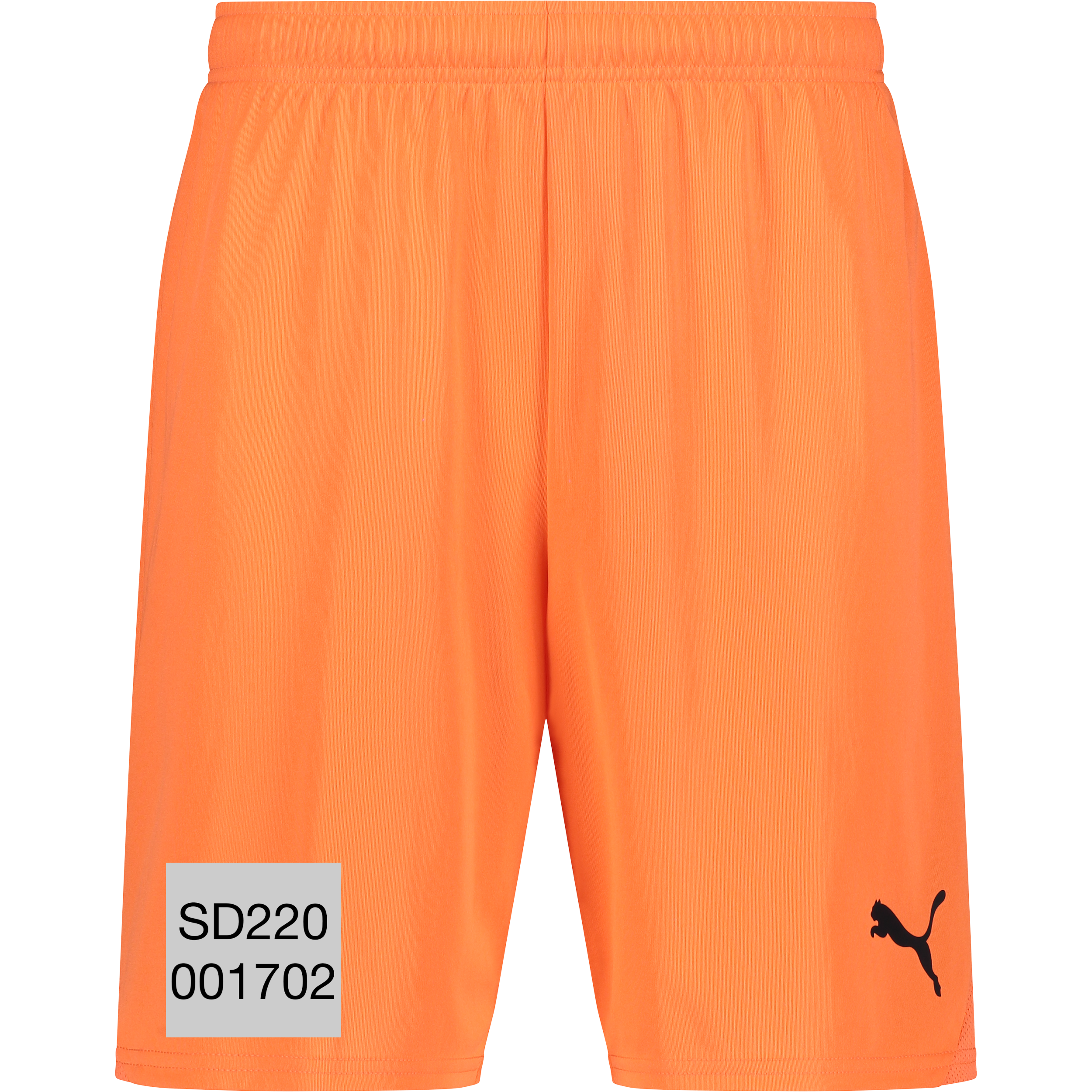 
PUMA, 
T Goal Shorts, 
Detail 1
