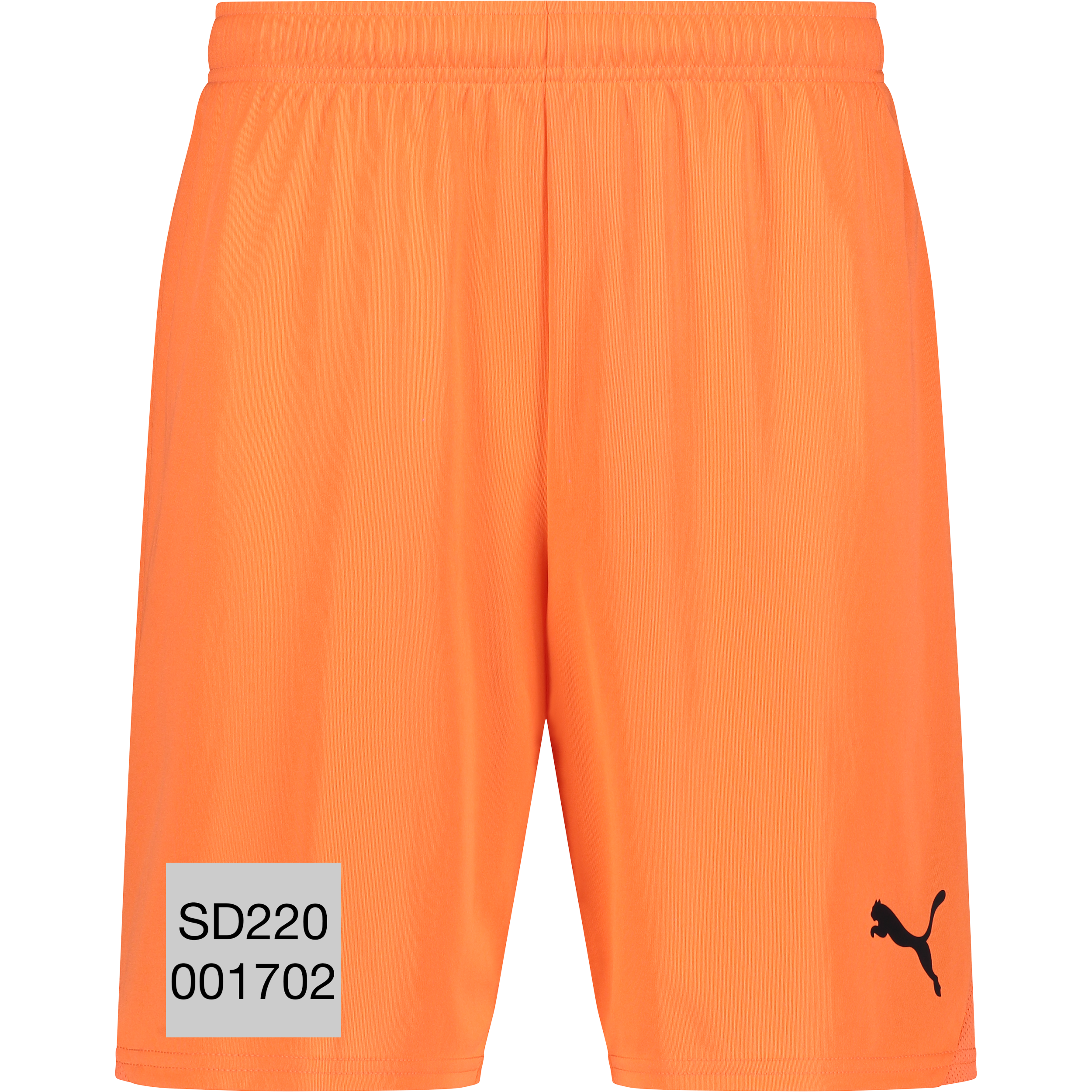 
PUMA, 
T Goal Shorts, 
Detail 1
