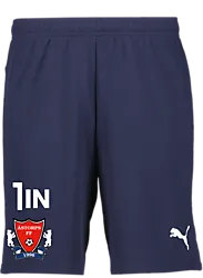 391942106101 PUMA T Goal Shorts 391942106101 PUMA T Goal Shorts Standard Small1x1