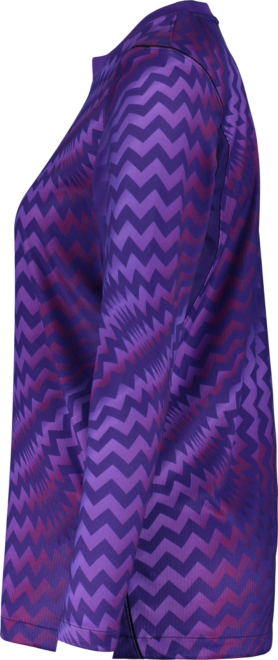 NIKE, GARDIEN VI GK LS JSY W