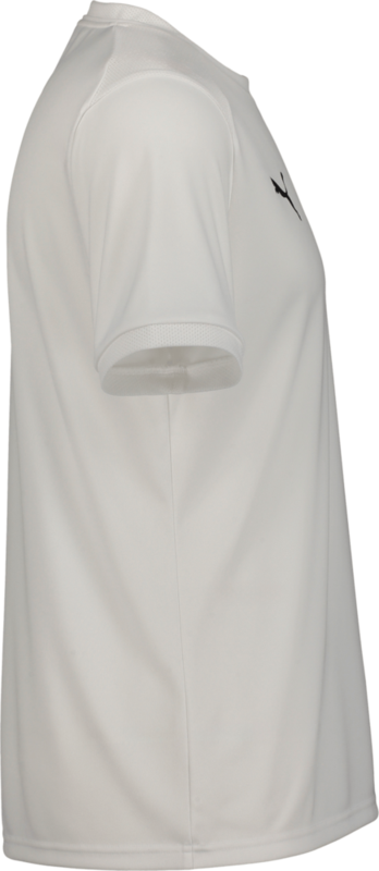 PUMA, TEAMLIGA26 MATCHDAY JERSEY JR