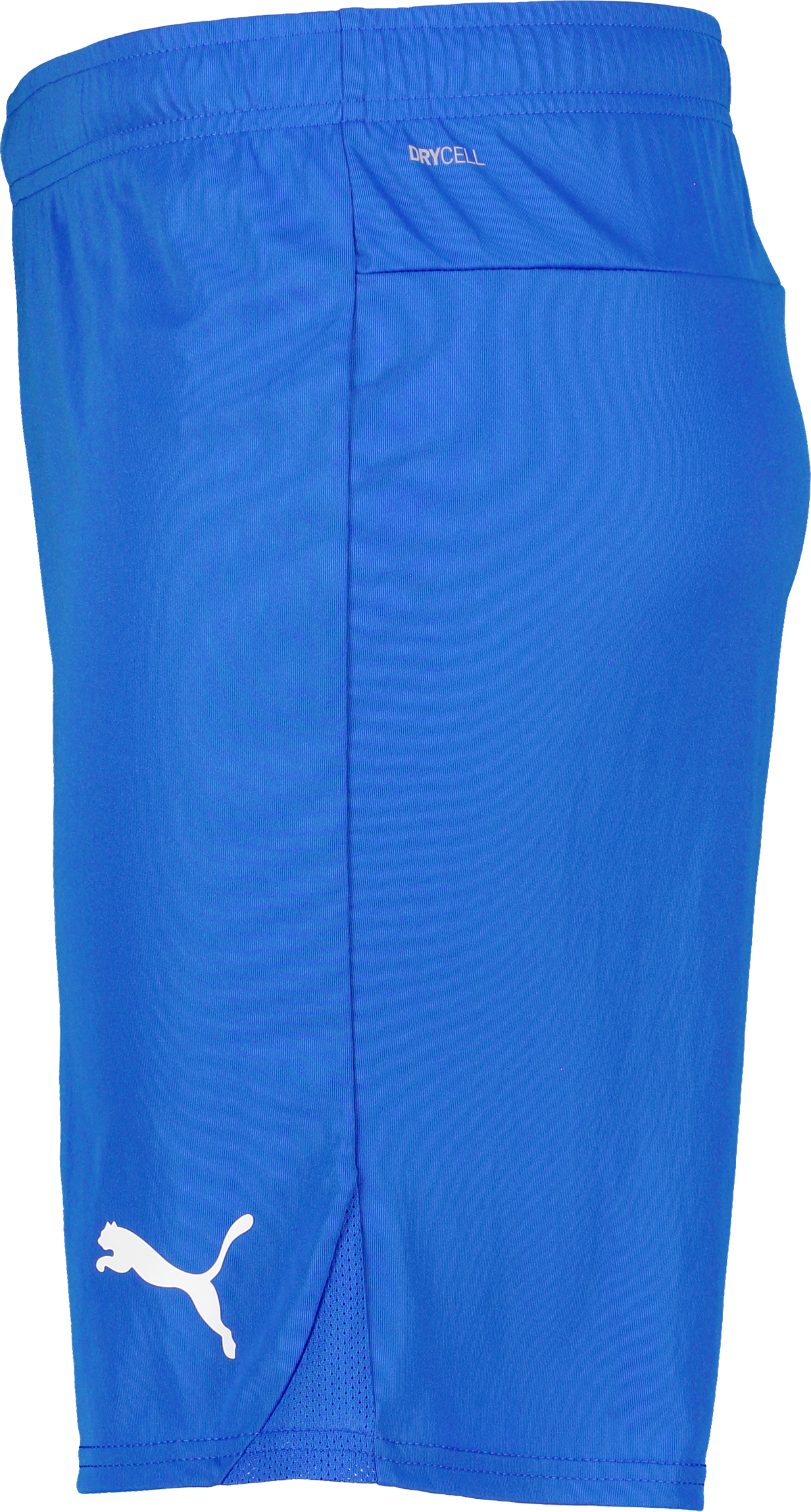 PUMA, T Goal Shorts Jr