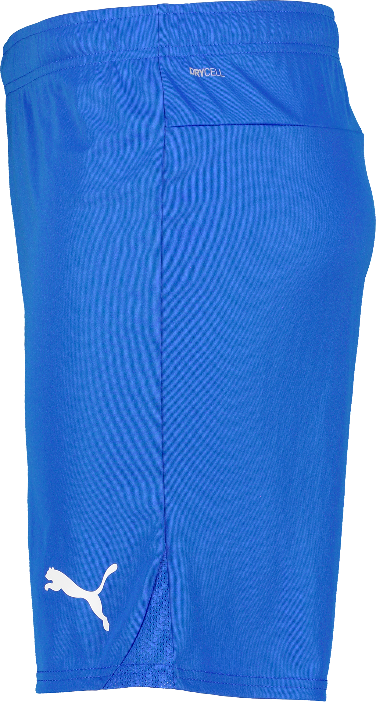 PUMA, T Goal Shorts Jr