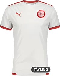 358884115101 PUMA T Liga Ss Jsy 358884115101 PUMA T Liga Ss Jsy Standard Small1x1