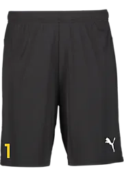 391942103101 PUMA T Goal Shorts 391942103101 PUMA T Goal Shorts Standard Small1x1