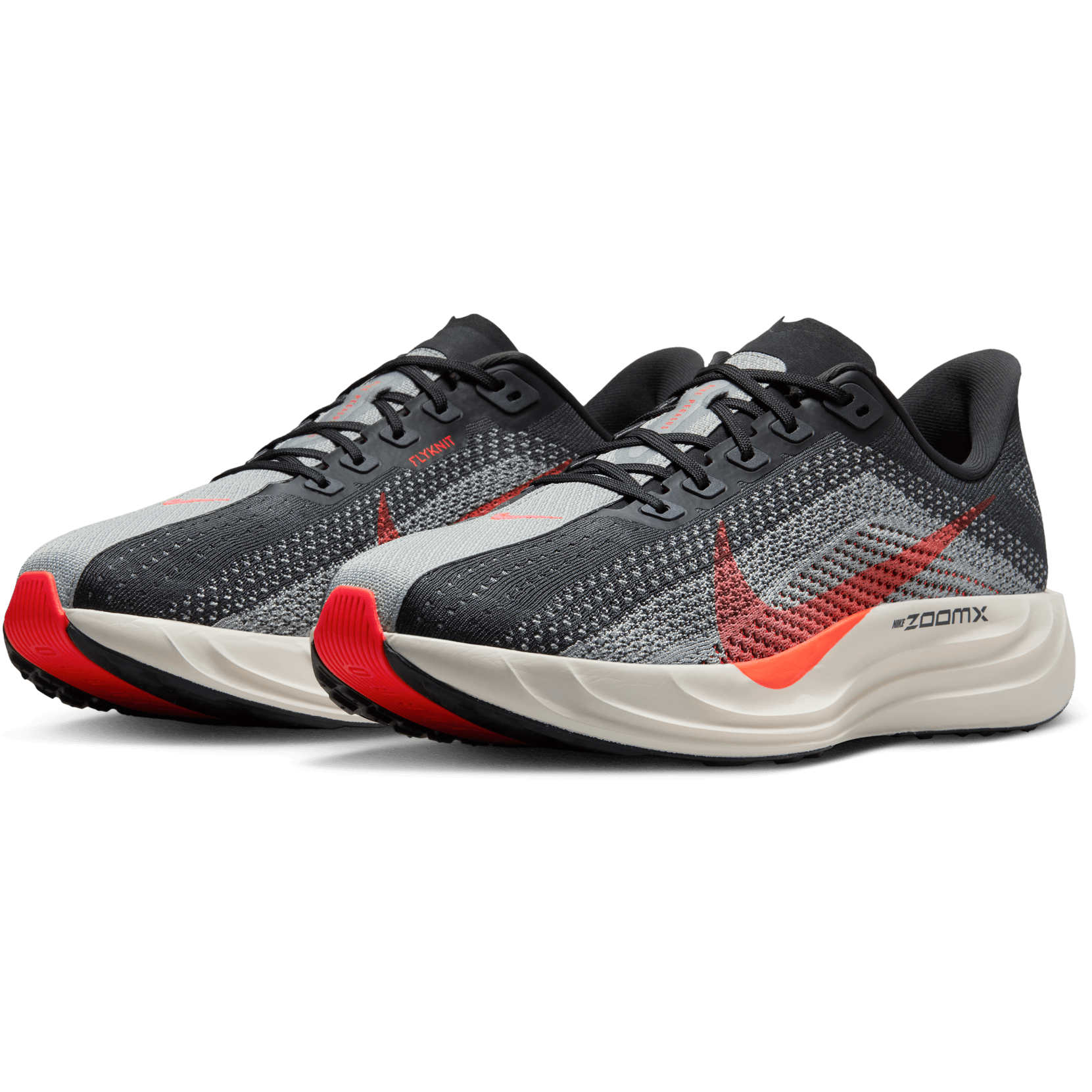 NIKE, M Pegasus Plus