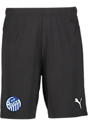 392286103101 PUMA T Goal Shorts Jr 392286103101 PUMA T Goal Shorts Jr Standard Small1x1