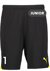392286110101 PUMA T Goal Shorts Jr 392286110101 PUMA T Goal Shorts Jr Standard Small1x1
