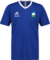 358914109101 ADIDAS Ent22 Jsy Tee 358914109101 ADIDAS Ent22 Jsy Tee Standard Small1x1
