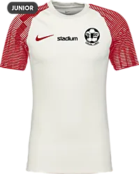 366334102101 NIKE Academy Ss Jsy Jr 366334102101 NIKE Academy Ss Jsy Jr Standard Small1x1