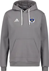 358922104101 ADIDAS Ent22 Hoody 358922104101 ADIDAS Ent22 Hoody Standard Small1x1