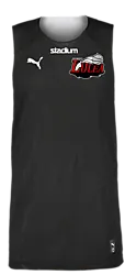 387569101101 PUMA Hoops Team Reverse Practice Jersey 387569101101 PUMA Hoops Team Reverse Practice Jersey Standard Small1x1