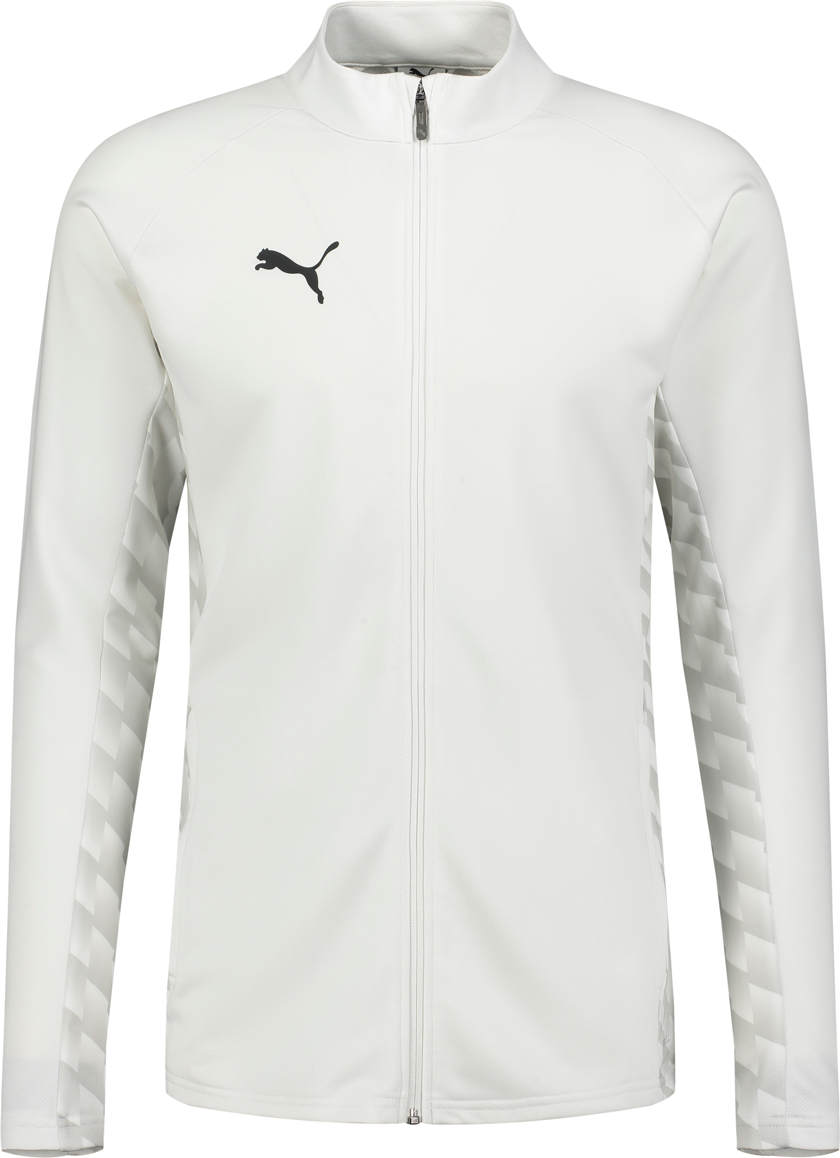 
PUMA, 
TEAMLIGA26 TRAINING JACKET, 
Detail 1
