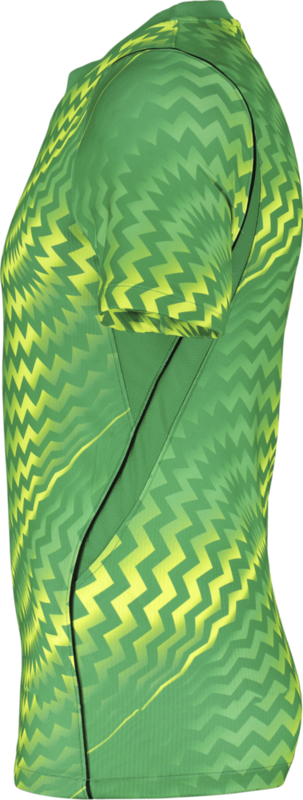 NIKE, GARDIEN VI GK SS JSY