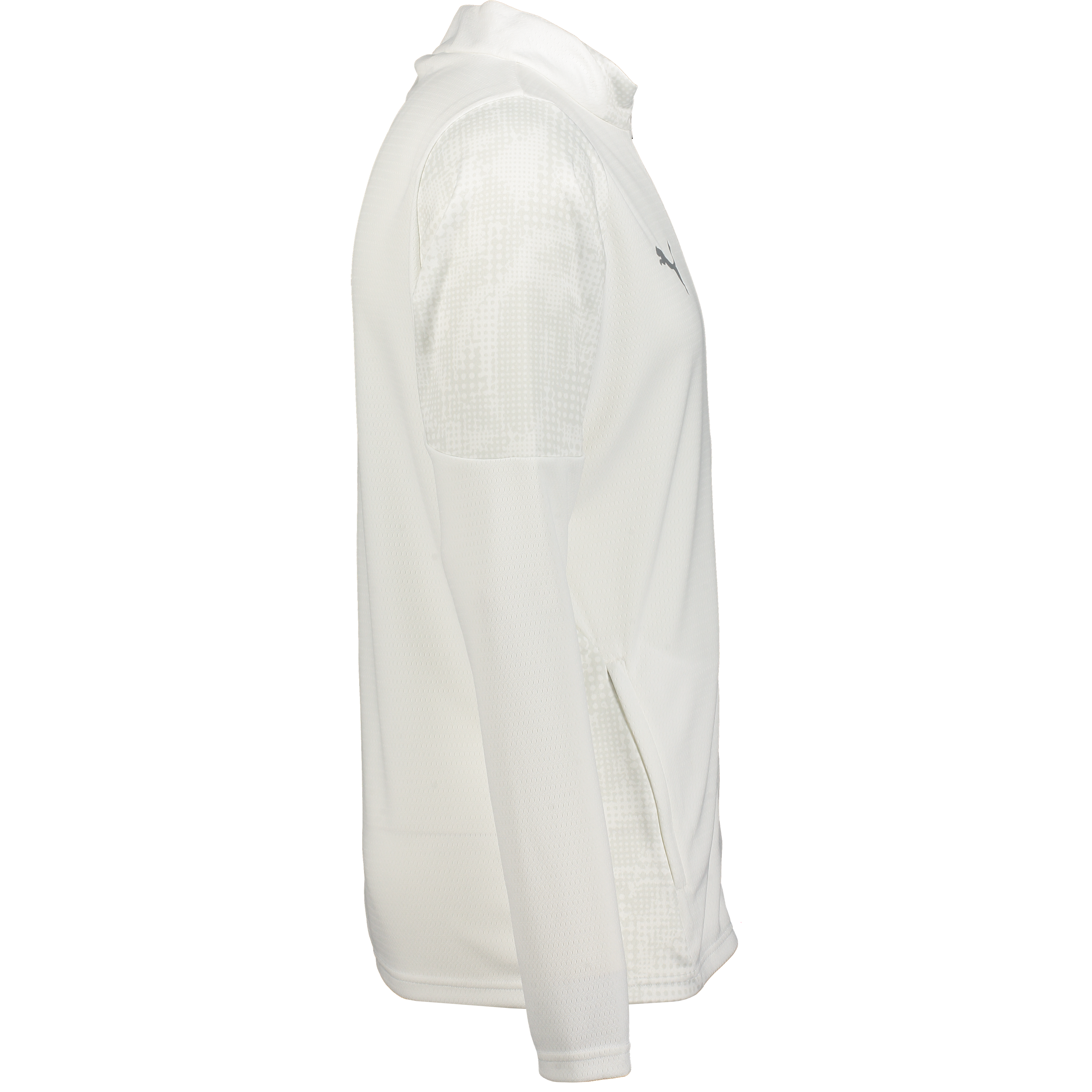 PUMA, Teamcup Training Jacket