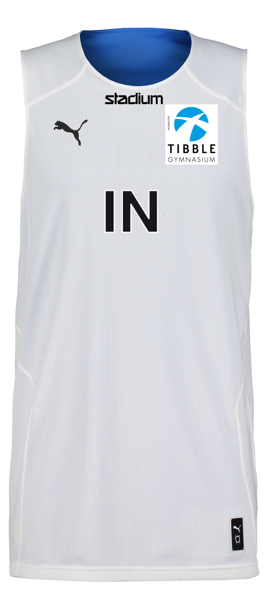 PUMA, Hoops Team Reverse Practice Jersey