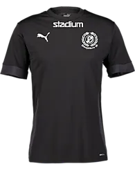 394146103101 PUMA T Goal Matchday Jsy Jr 394146103101 PUMA T Goal Matchday Jsy Jr Standard Small1x1