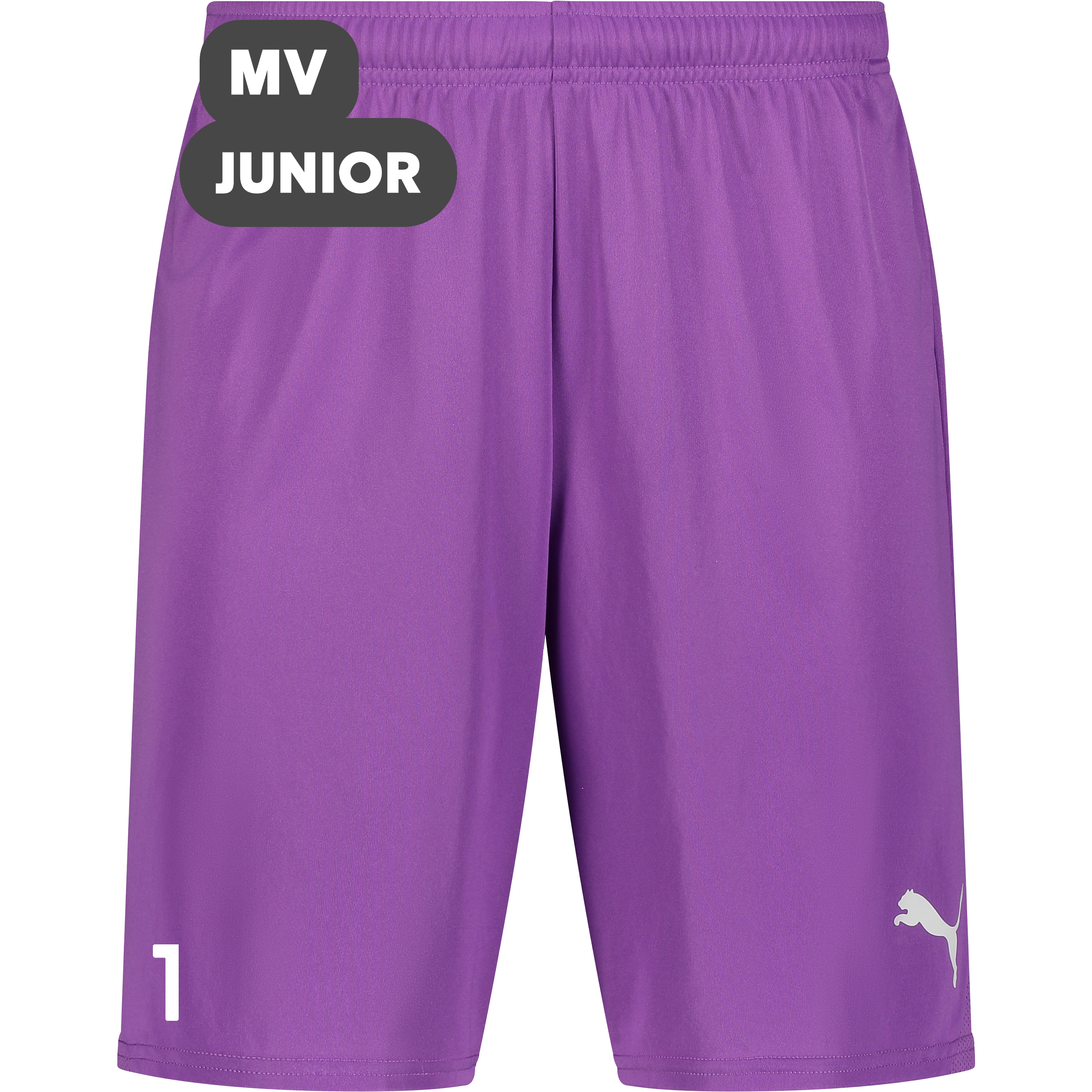 
PUMA, 
T Goal Shorts Jr, 
Detail 1
