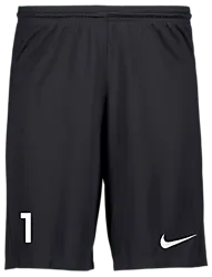 298936101101 NIKE Park III Short 298936101101 NIKE Park III Short Standard Small1x1