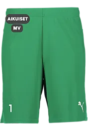 391942105101 PUMA T Goal Shorts 391942105101 PUMA T Goal Shorts Standard Small1x1
