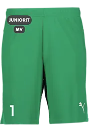 392286105101 PUMA T Goal Shorts Jr 392286105101 PUMA T Goal Shorts Jr Standard Small1x1