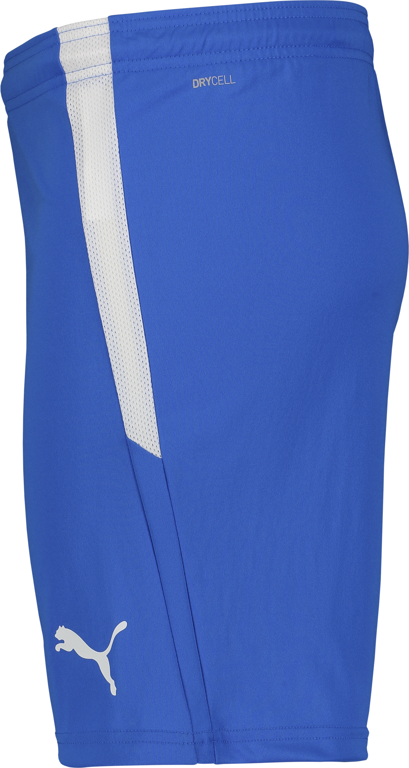 PUMA, T Liga Shorts Jr