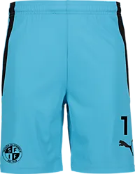 361522106101 PUMA T Liga Shorts 361522106101 PUMA T Liga Shorts Standard Small1x1