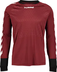 Essential Gk Jsy Jr - Maroon Standard Small1x1
