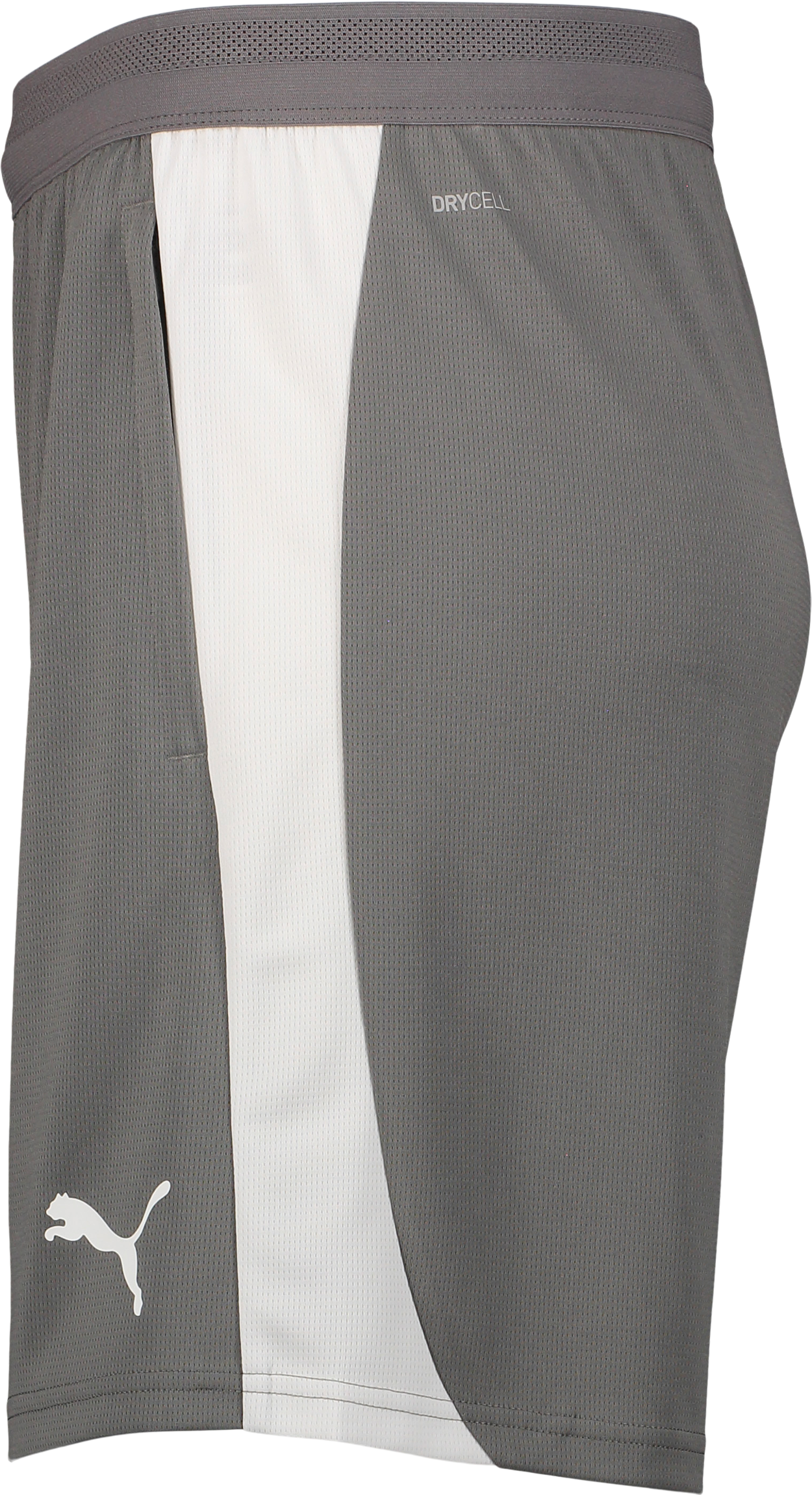 PUMA, TEAMFINAL26 TRAINING SHORTS