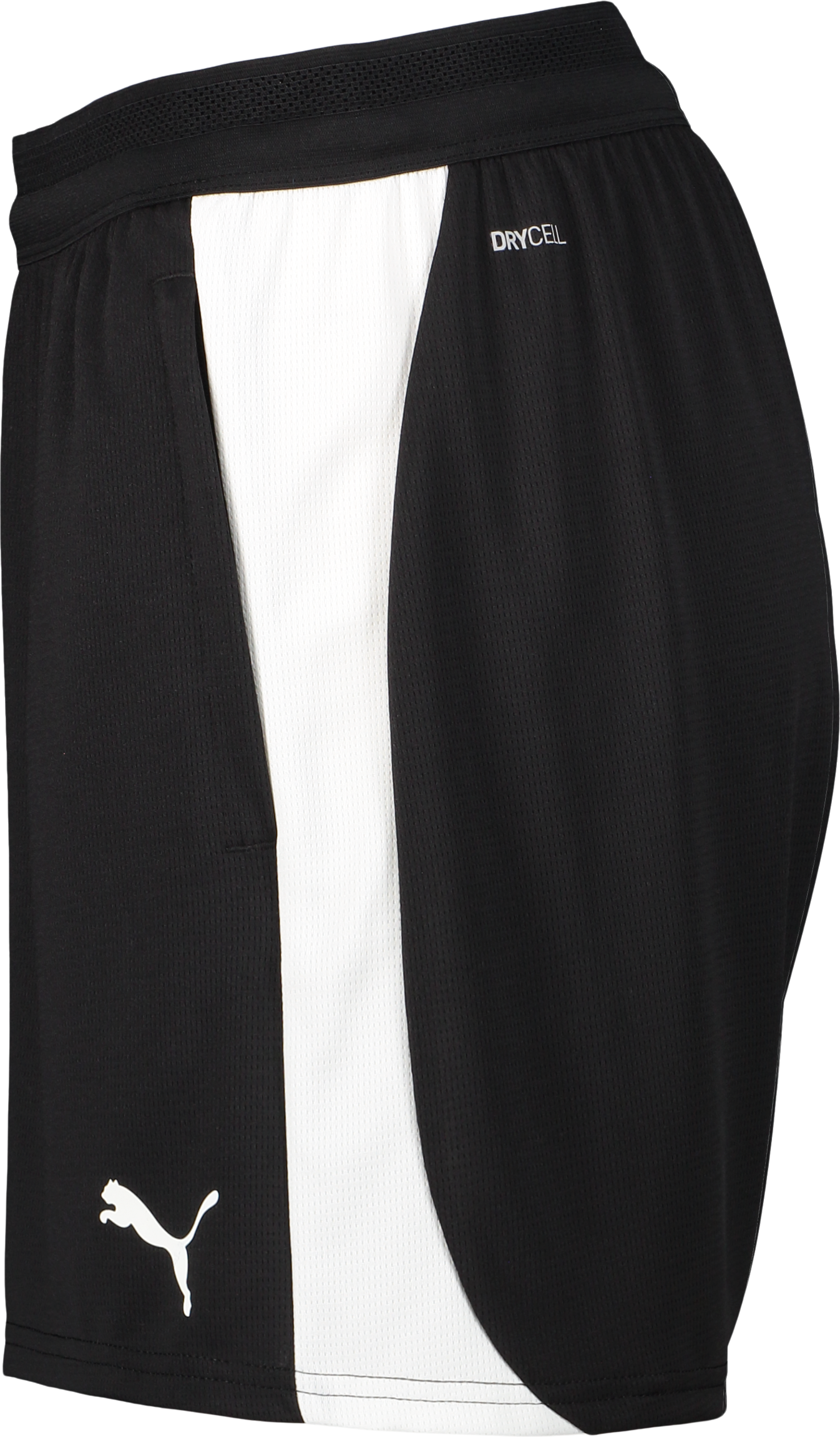 PUMA, T FINAL26 TRG SHO W