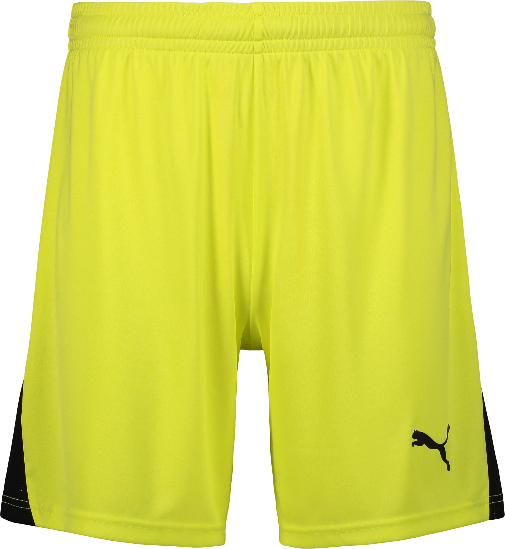 
PUMA, 
TEAMLIGA26 SHORTS, 
Detail 1
