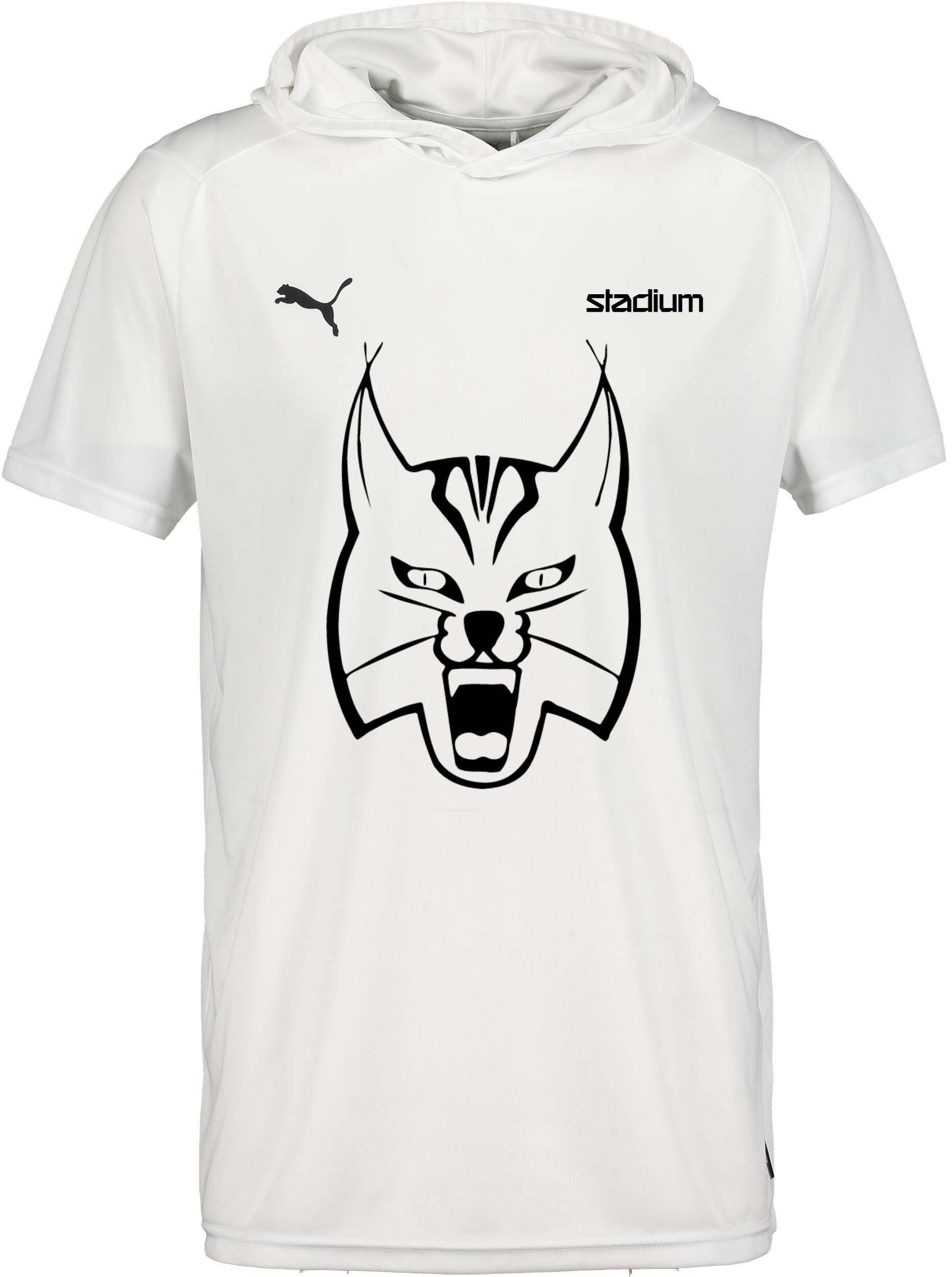 
PUMA, 
Hoops Team Ss Shooting Shirt, 
Detail 1
