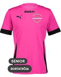 394120120101 PUMA T Goal Matchday Jsy 394120120101 PUMA T Goal Matchday Jsy Standard Small1x1
