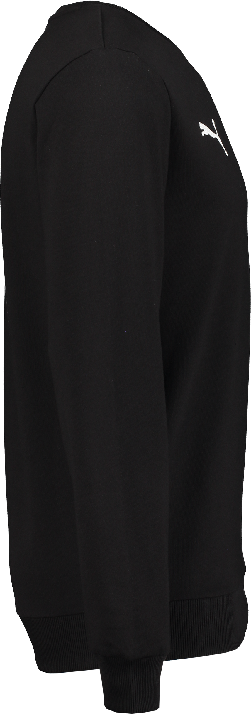 PUMA, T GOAL CAS CREW SWEAT JR