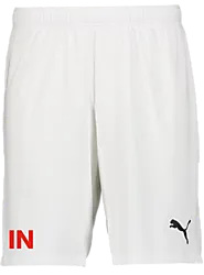 391942104101 PUMA T Goal Shorts 391942104101 PUMA T Goal Shorts Standard Small1x1