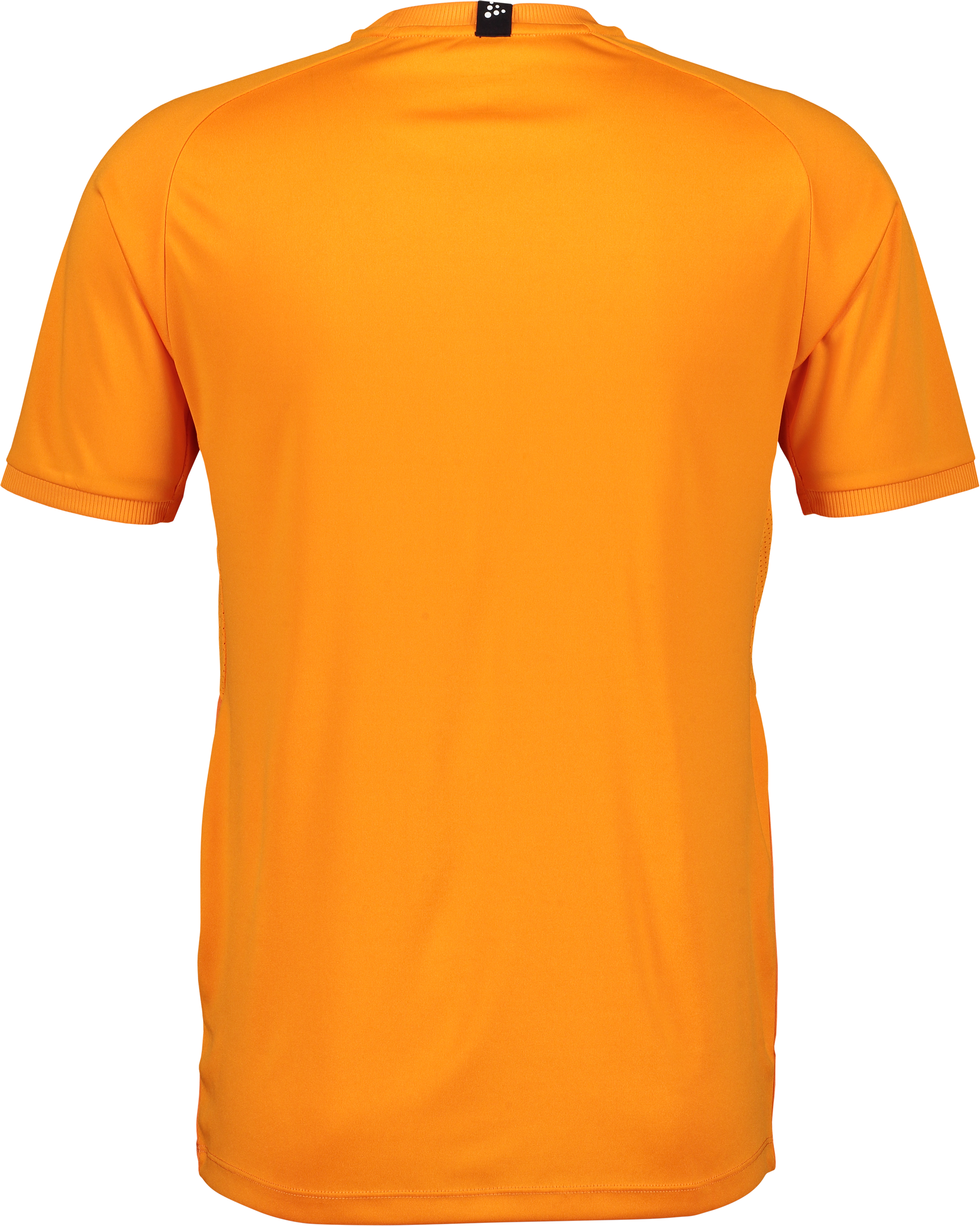 CRAFT, Progress 2.0 Graphic Jersey Jr