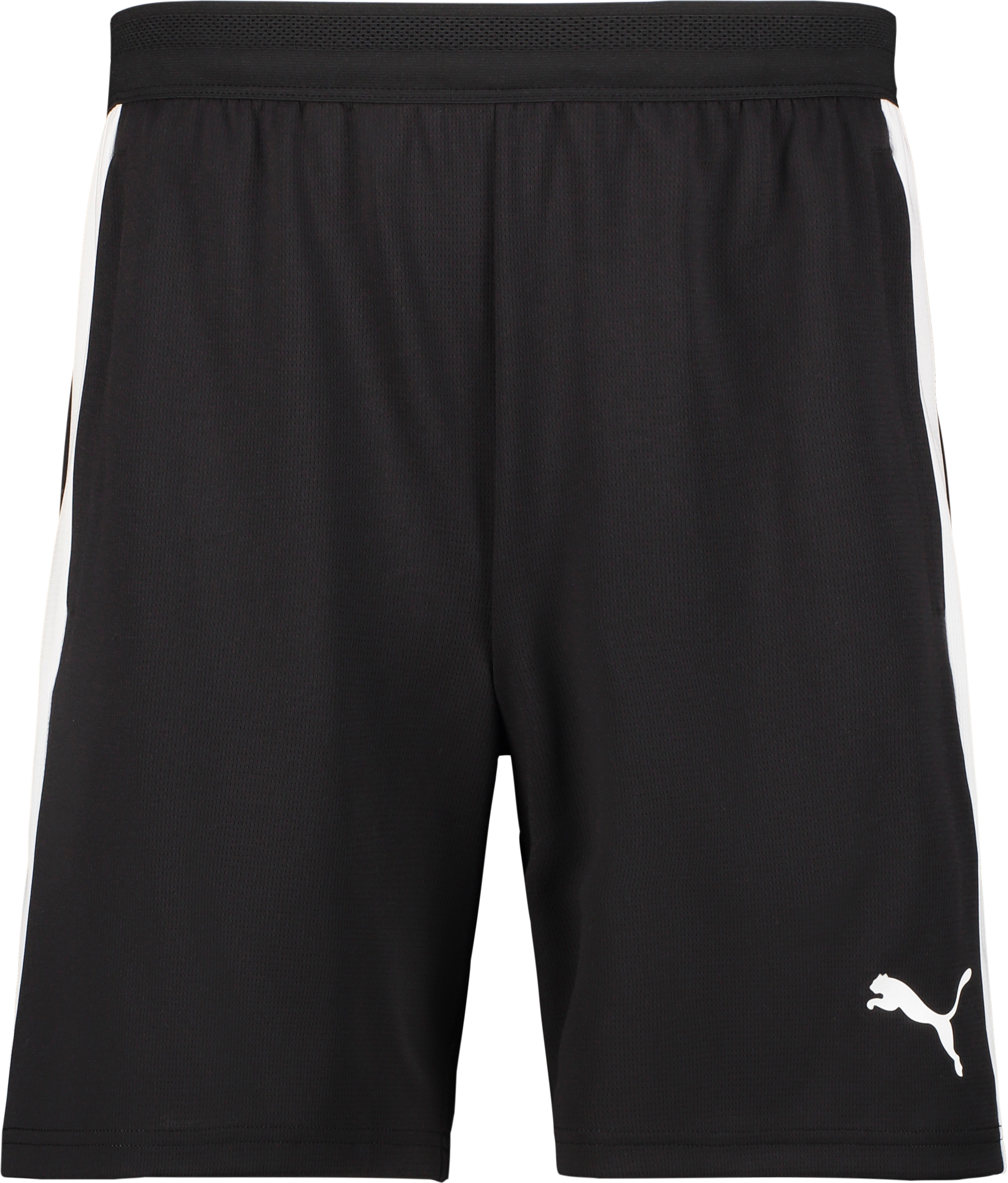 
PUMA, 
TEAMFINAL26 TRAINING SHORTS, 
Detail 1
