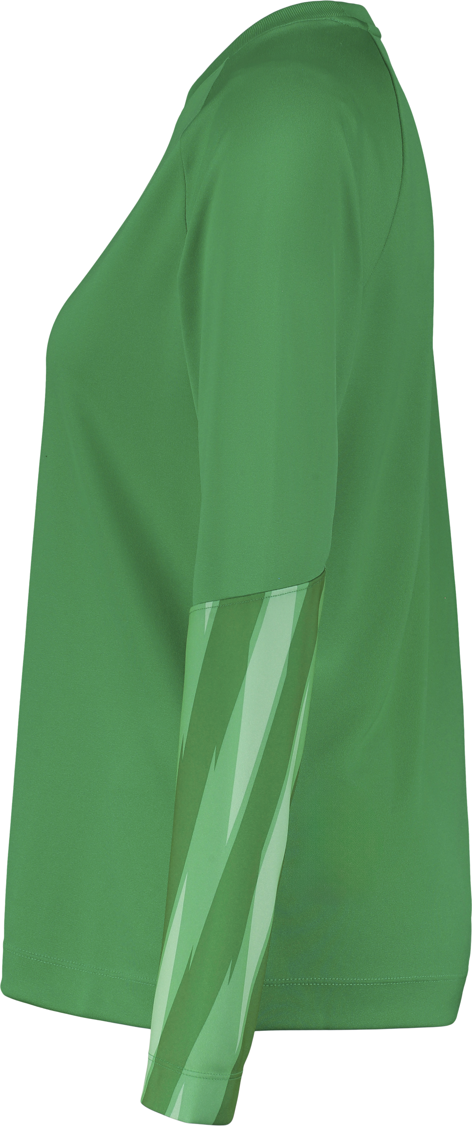 NIKE, PARK V GK LS JSY W