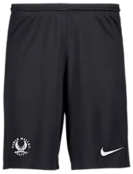 298937101101 NIKE Park III Short Jr 298937101101 NIKE Park III Short Jr Standard Small1x1