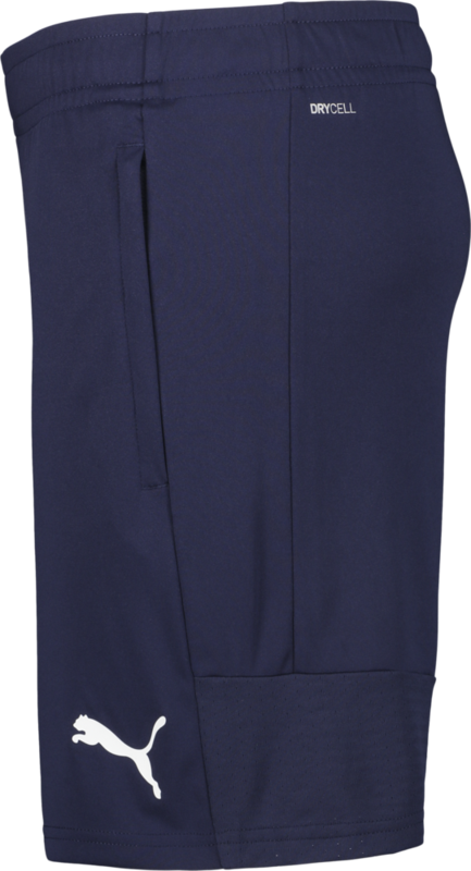 PUMA, TEAMLIGA TRAINING SHORTS