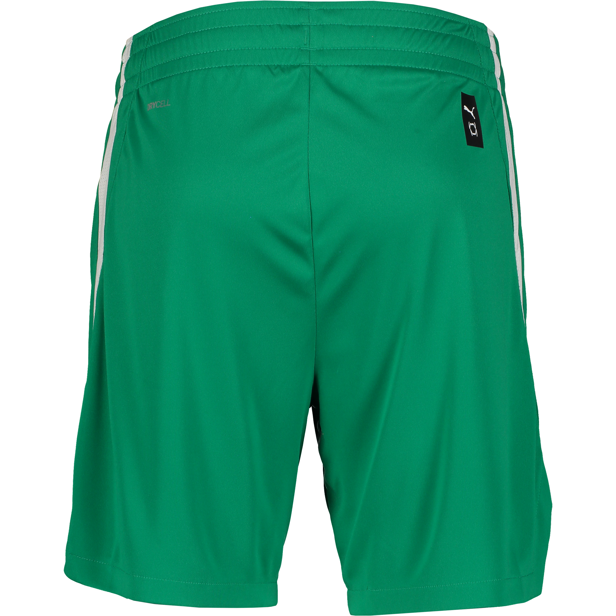 PUMA, TEAMJAWS STARTER SHORTS