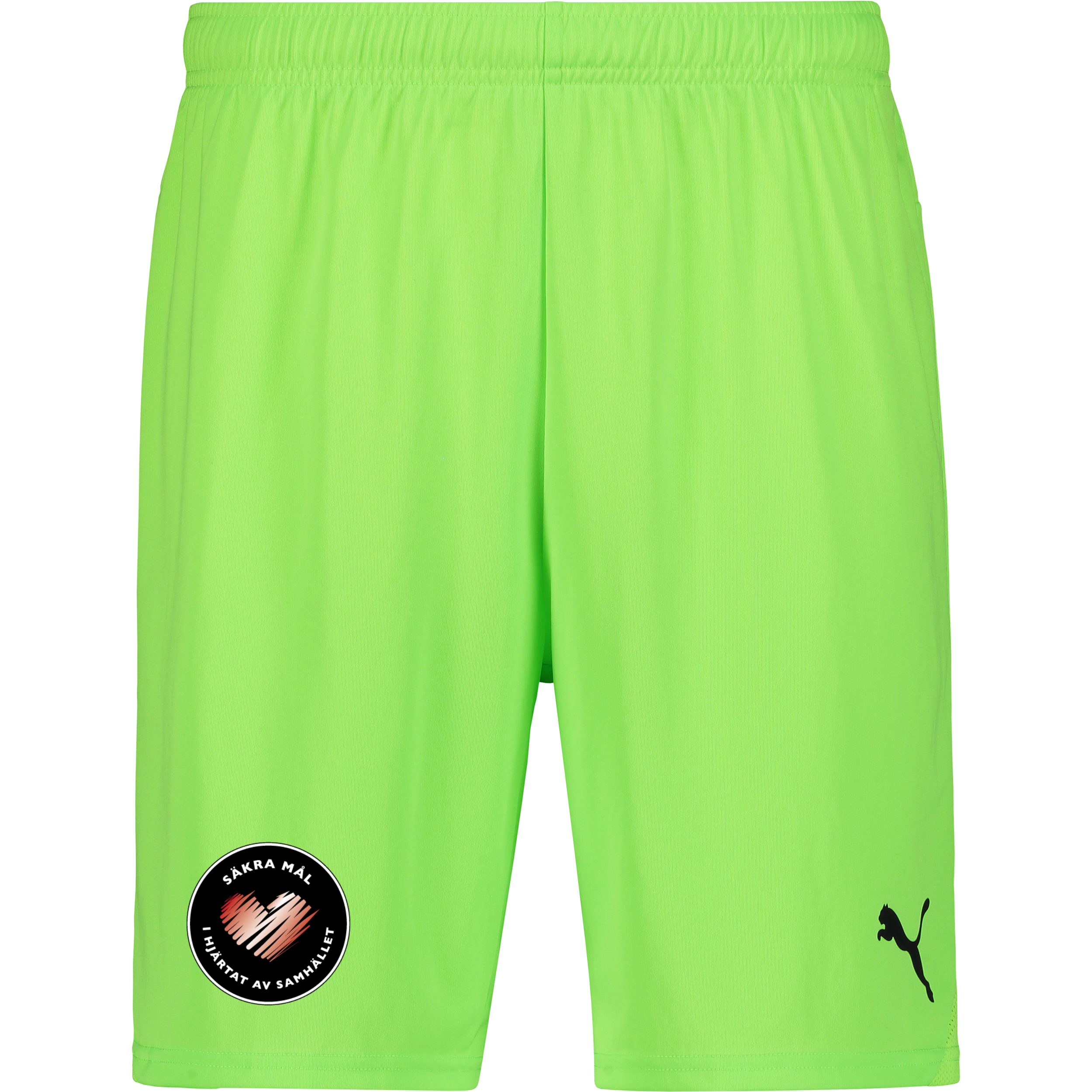 
PUMA, 
T Goal Shorts Jr, 
Detail 1
