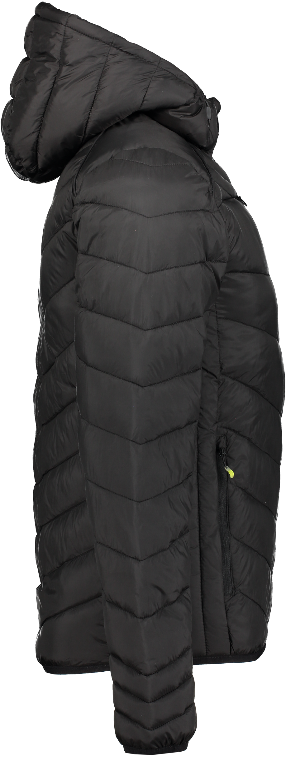 CLIQUE, Idaho Jkt