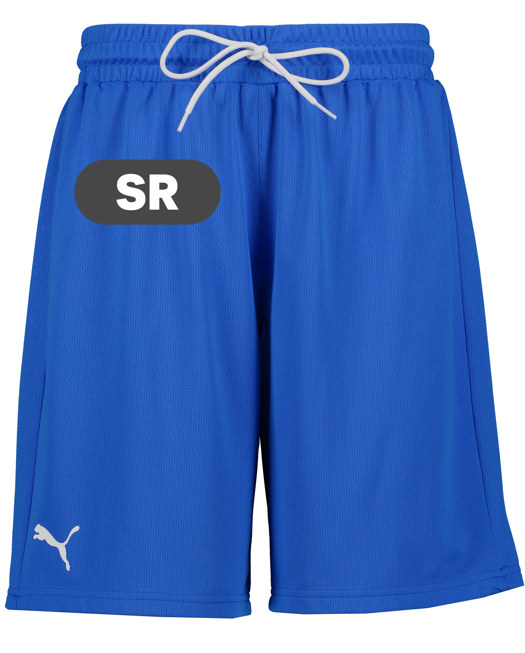 
PUMA, 
Hoops Team Practice Short, 
Detail 1
