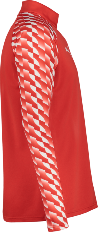 PUMA, TEAMLIGA26 TRAINING 1/4 ZIP TOP JR