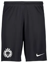 298936101101 NIKE Park III Short 298936101101 NIKE Park III Short Standard Small1x1