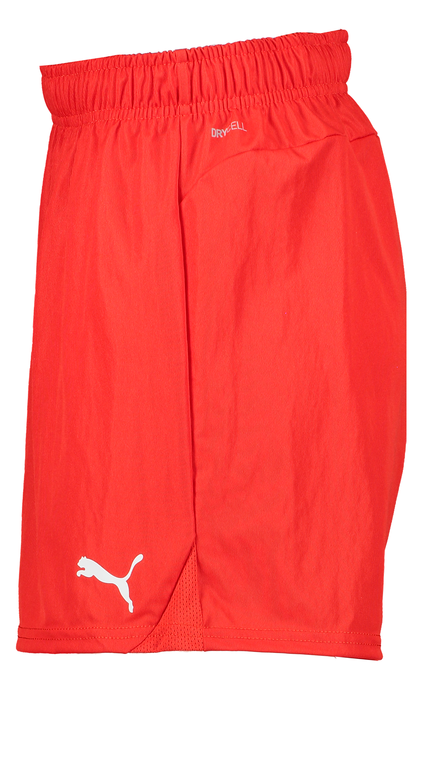 PUMA, T Goal Shorts Wmns