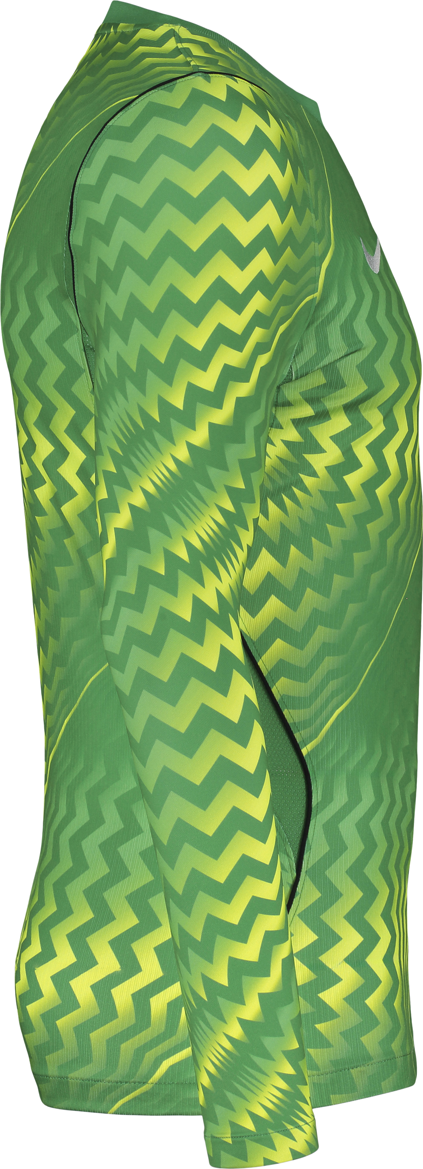 NIKE, GARDIEN VI GK LS JSY