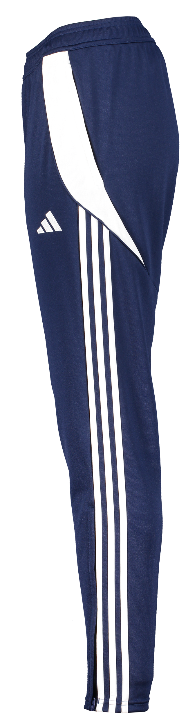 ADIDAS, Tiro24 Tr Pnt W