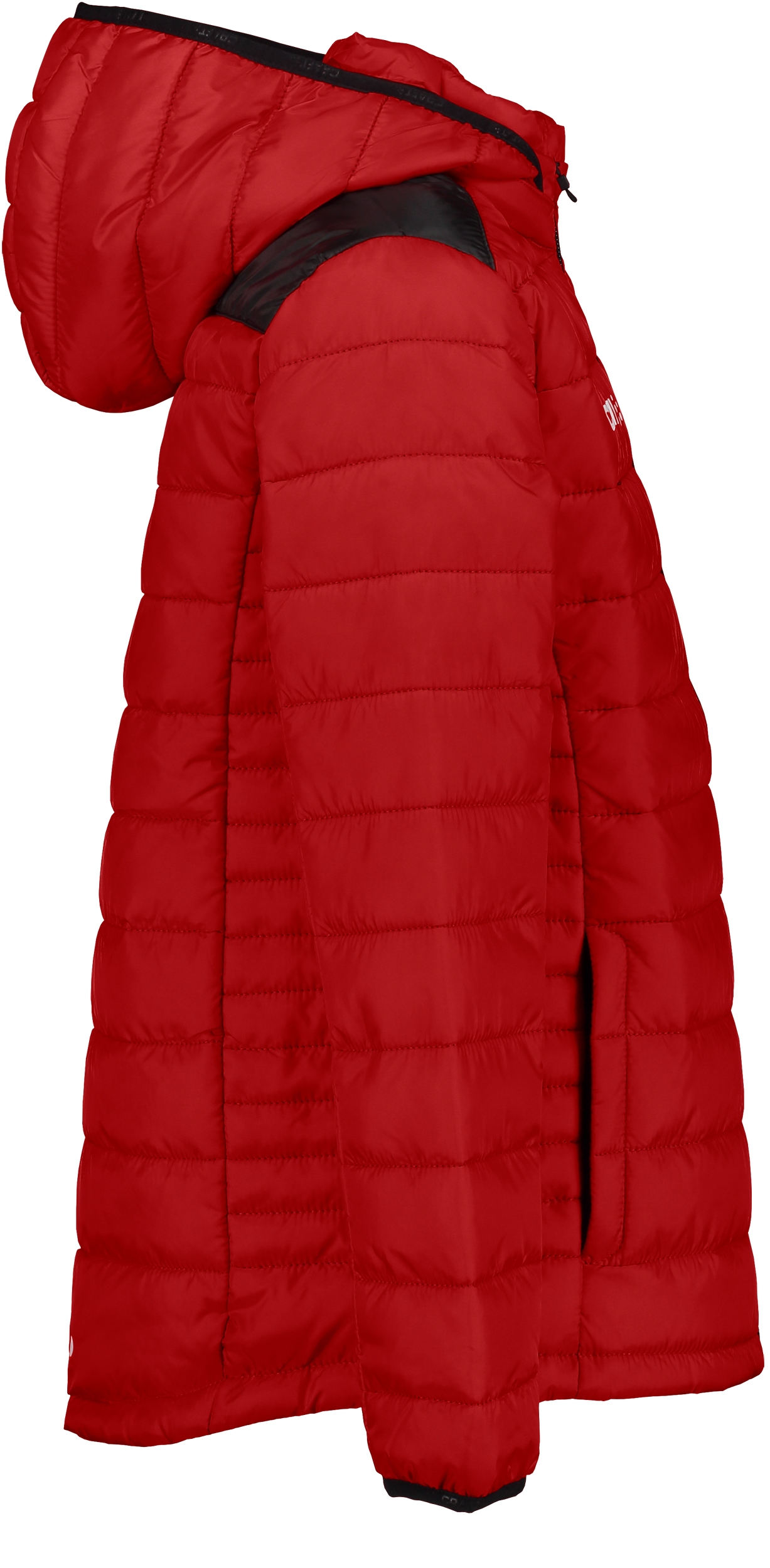 CRAFT, Isolate Jkt Jr